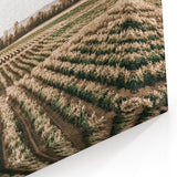 Farmhouse Wall Art of Scenic Crop Fields - Rustic Country Style Decor