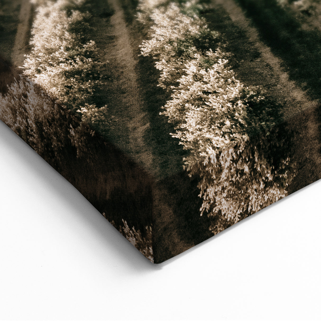 Farmhouse Wall Art of Scenic Crop Fields - Rustic Country Style Decor