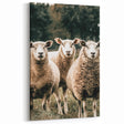 Farmhouse Wall Art of Sheep in Pasture - Rustic Country Style Decor