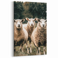 Farmhouse Wall Art of Sheep in Pasture - Rustic Country Style Decor