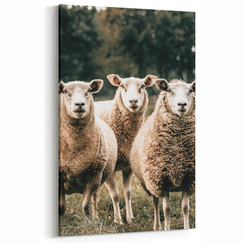 Farmhouse Wall Art of Sheep in Pasture - Rustic Country Style Decor