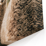 Farmhouse Wall Art of Sheep in Pasture - Rustic Country Style Decor