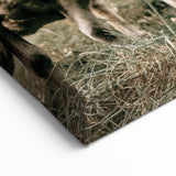 Farmhouse Wall Art of Sheep in Pasture - Rustic Country Style Decor