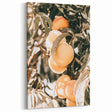 Farmhouse Wall Art - Rustic Farmhouse Decor with Fruit Tree Close-Up