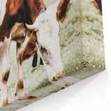 Farmhouse Wall Art – Grazing Cow in Pasture Print for Rustic Decor