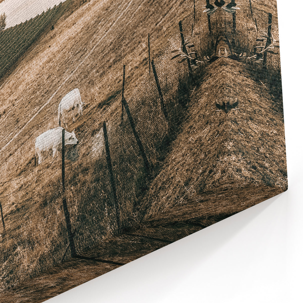 Farmhouse Wall Art – Scenic Countryside Hills and Grazing Cows Print
