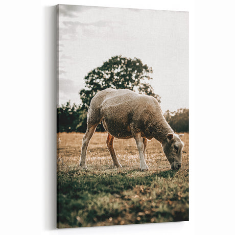Farmhouse Wall Art – Peaceful Grazing Sheep in Sunset Print for Rustic Decor