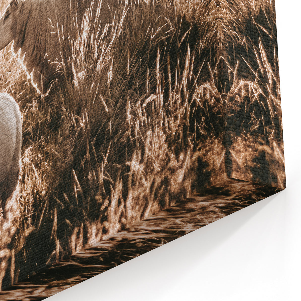 Farmhouse Wall Art – Sheep Grazing at Sunset Print for Rustic Home Decor