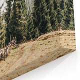 Rustic Farmhouse Wall Art – Countryside Pathway with Trees Print