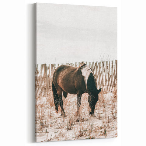 Farmhouse Wall Art – Grazing Horse in Sand Dunes Print