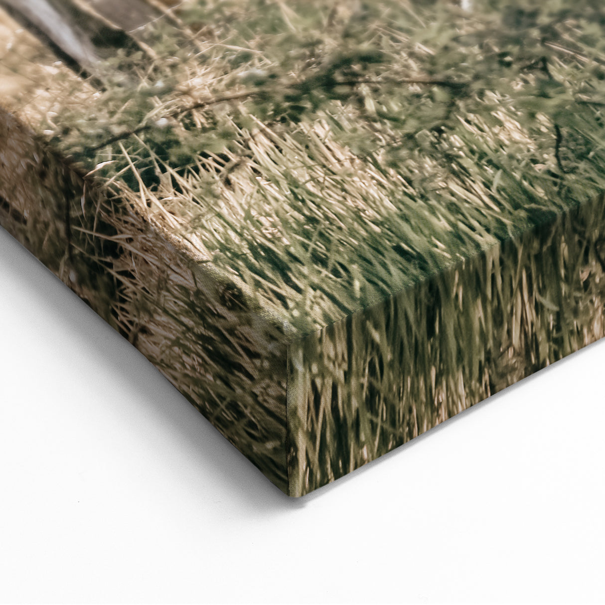 Farmhouse Wall Art - Rustic Fence and Foliage with Warm Country Charm