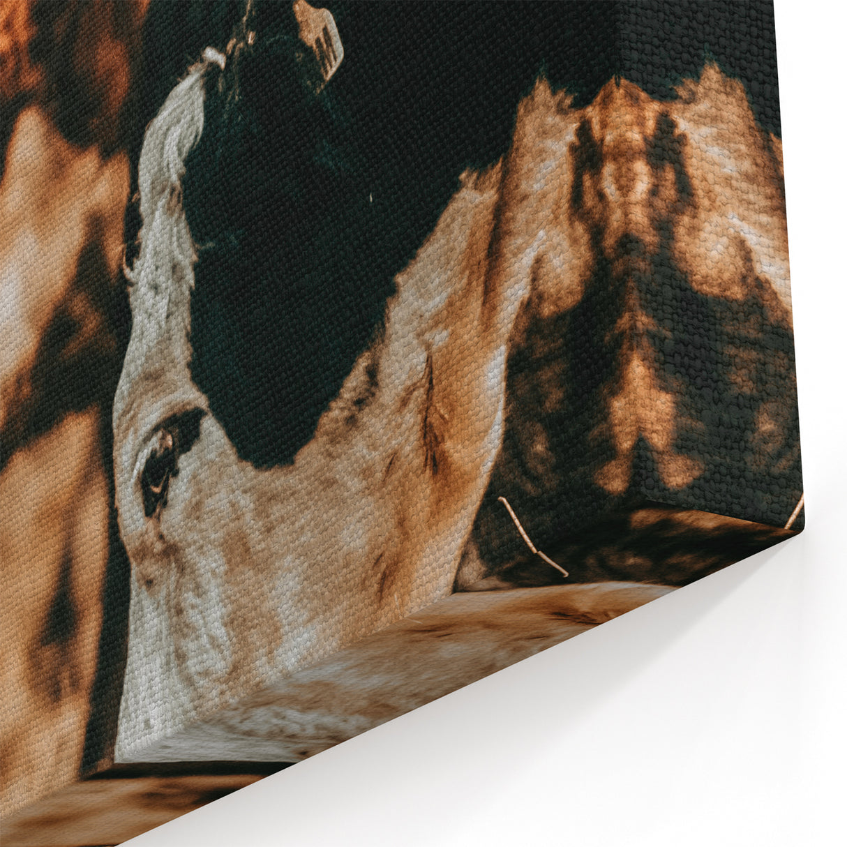 Farmhouse Wall Art - Rustic Cows in Close-Up with Country Farm Charm