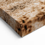 Farmhouse Wall Art - Rustic Cows in Close-Up with Country Farm Charm