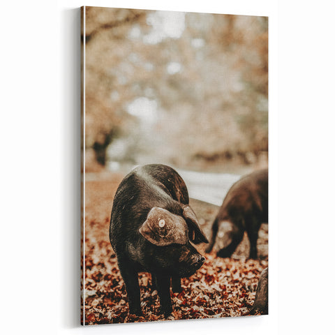 Farmhouse Wall Art - Black Pig in Rustic Setting with Country Charm