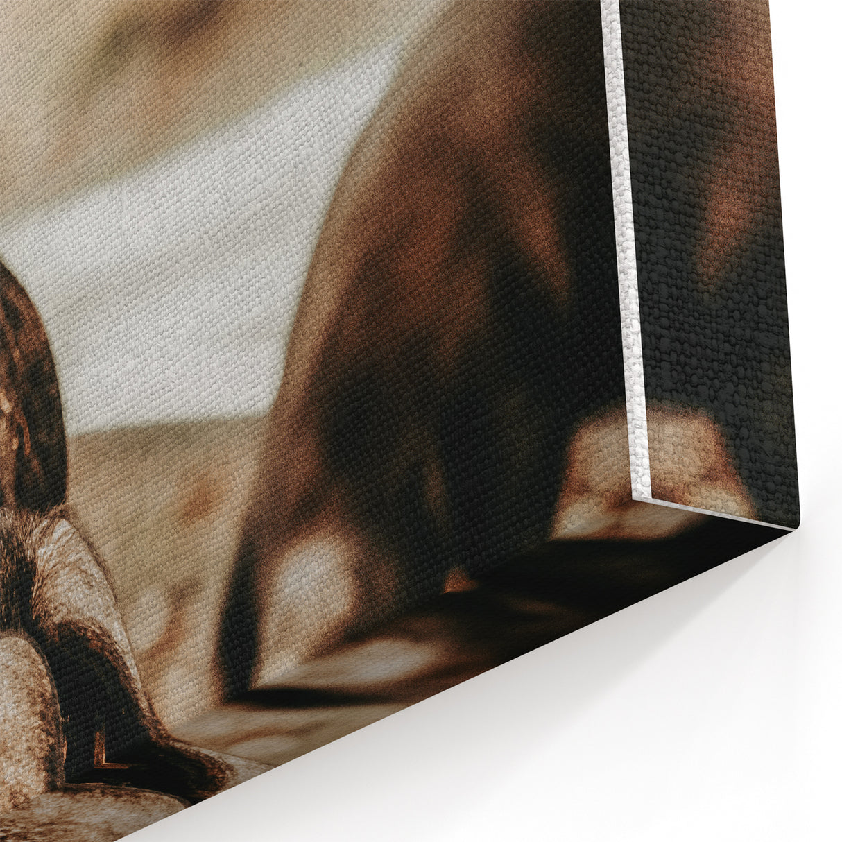 Farmhouse Wall Art - Black Pig in Rustic Setting with Country Charm