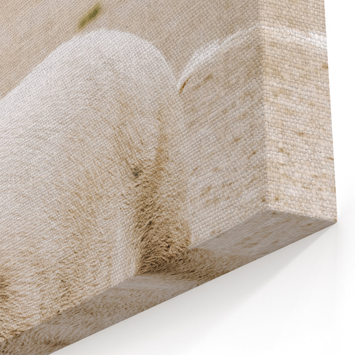 Farmhouse Wall Art - Rustic Pig on Farm with Vintage Country Charm