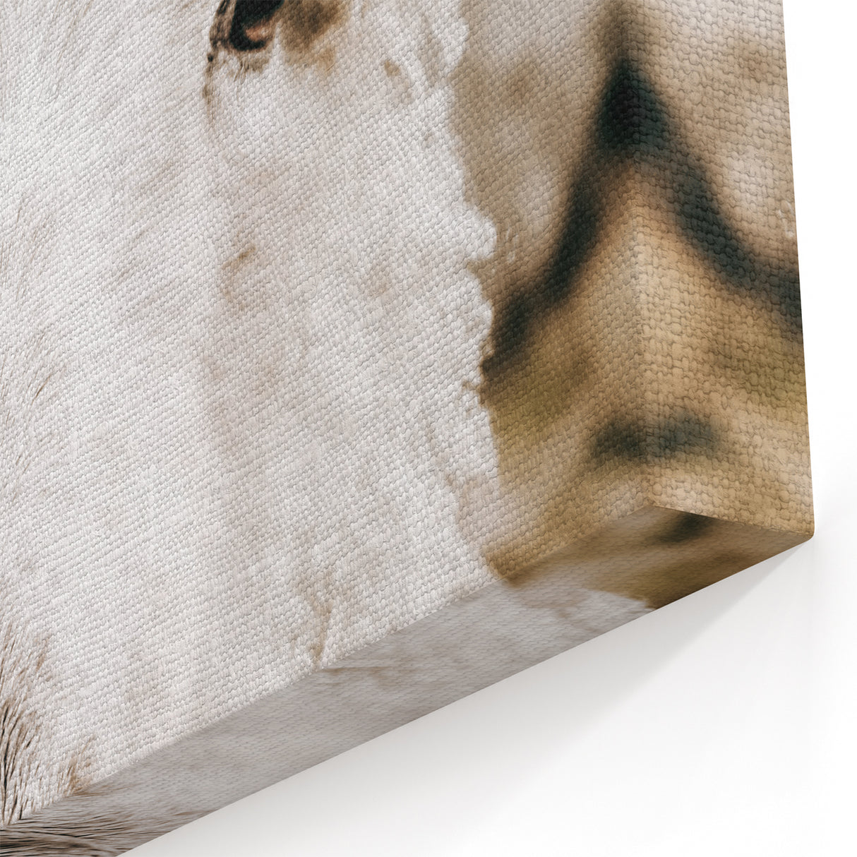 Farmhouse Wall Art - Adorable Sheep Close-Up with Rustic Farm Charm