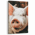 Farmhouse Wall Art - Playful Pig Close-Up with Rustic Farmhouse Charm