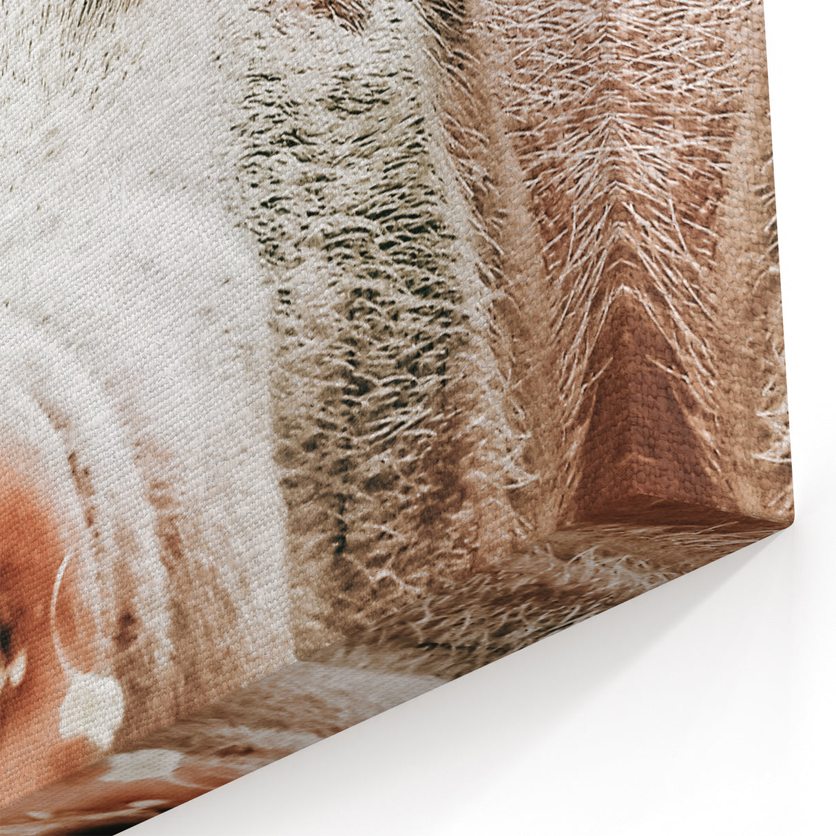 Farmhouse Wall Art - Playful Pig Close-Up with Rustic Farmhouse Charm