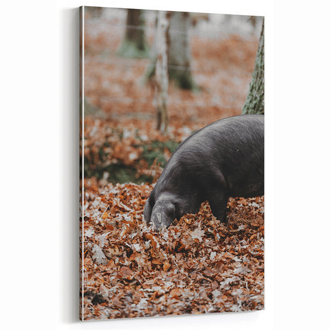 Farmhouse Wall Art - Pig Foraging in Autumn Leaves with Rustic Charm