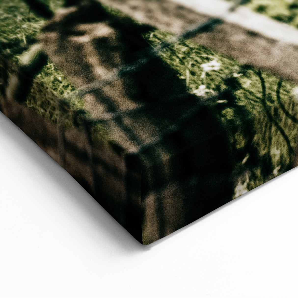 Farmhouse Wall Art - Scenic Tree-Lined Field with Rustic Country Charm