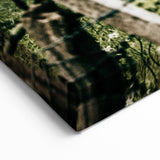 Farmhouse Wall Art - Scenic Tree-Lined Field with Rustic Country Charm