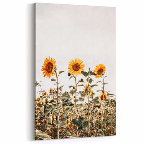 Farmhouse Wall Art | Sunflower Field Rustic Decor | Vintage Country Print