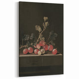 Moody Interior Art: Dark Gooseberry Still Life Print for Home Decor