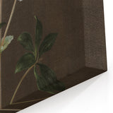 Dark Moody Botanical Art: White Flower Illustration for Interior Decor