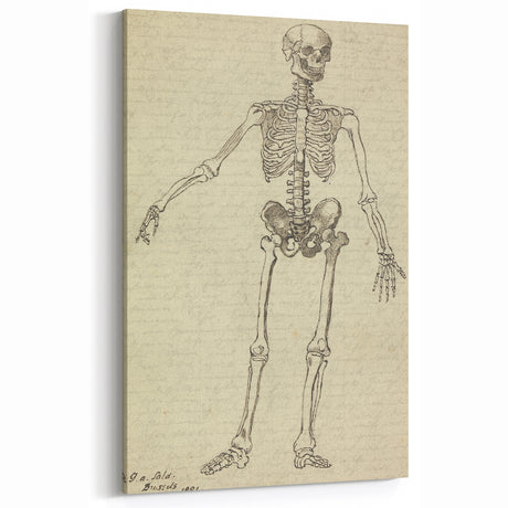 Vintage Gothic Skeleton Print - Dark Decor Style Gothic Wall Art Canvas