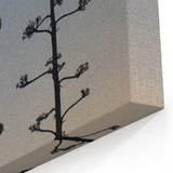 Desert Plant Silhouettes - Peaceful Sunset Silhouette of Agave Trees