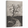Medieval Gothic Canvas - Mysterious Path Dark Decor Style Art
