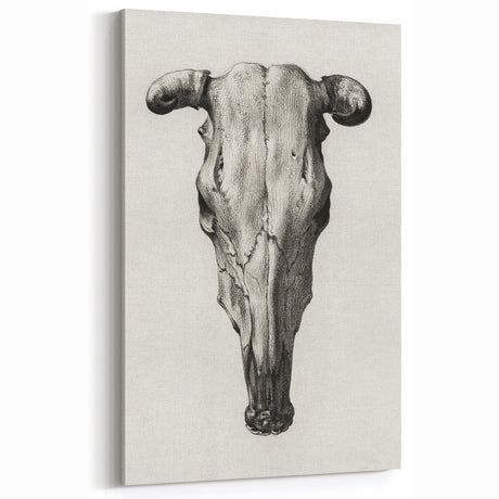 Gothic Artworks - Vintage Skull Illustration Medieval Gothic Canvas Print