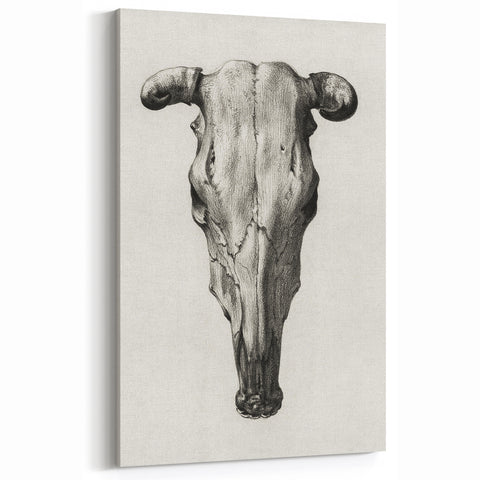 Gothic Artworks - Vintage Skull Illustration Medieval Gothic Canvas Print