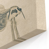 Medieval Gothic Canvas - Giraffe Skeleton Illustration Gothic Wall Art