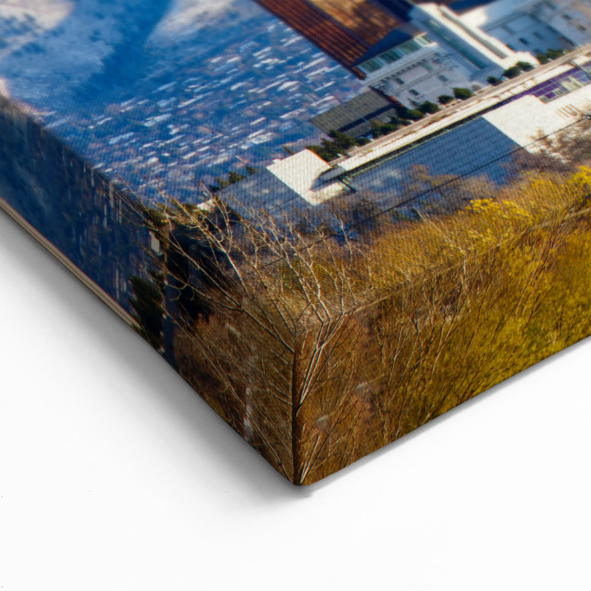 Salt Lake City Framed Art - Utah Skyline and Mountain Scenic View Prints