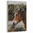 Rustic Horse Portrait Wall Art for Farmhouse and Nature-Inspired Decor