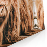 Highland Cow Farmhouse Wall Art – Rustic Country Style Decor Print