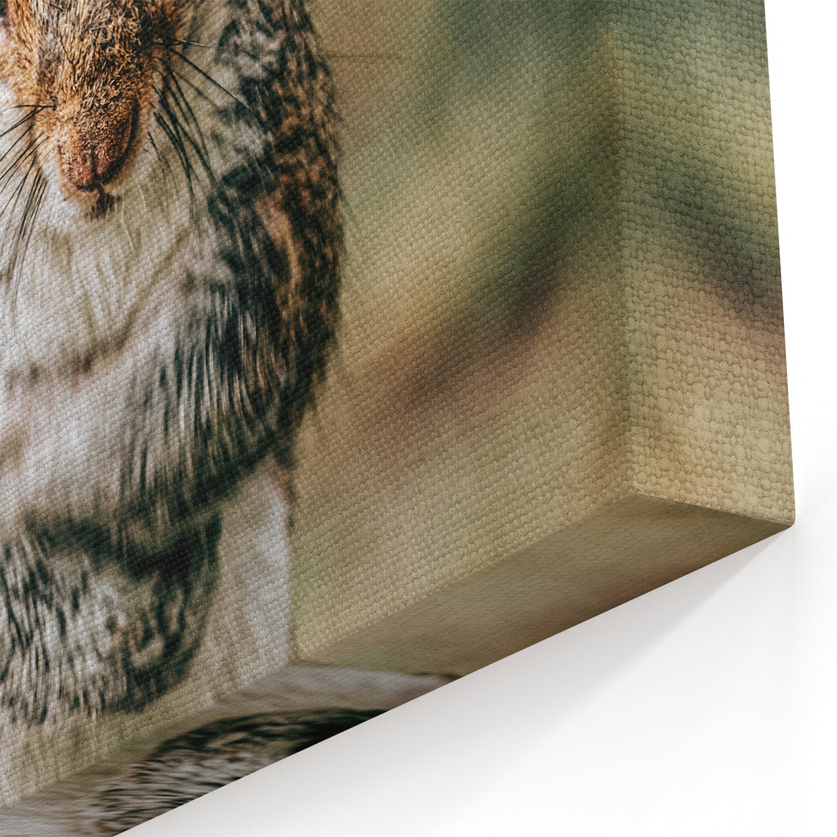 Charming Squirrel Wall Art – Rustic Farmhouse Nature-Inspired Decor