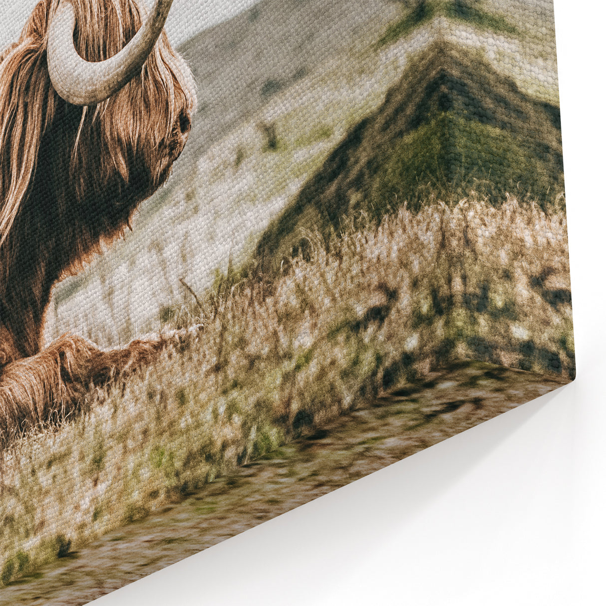 Highland Cow Wall Art – Rustic Farmhouse Nature-Inspired Decor Print