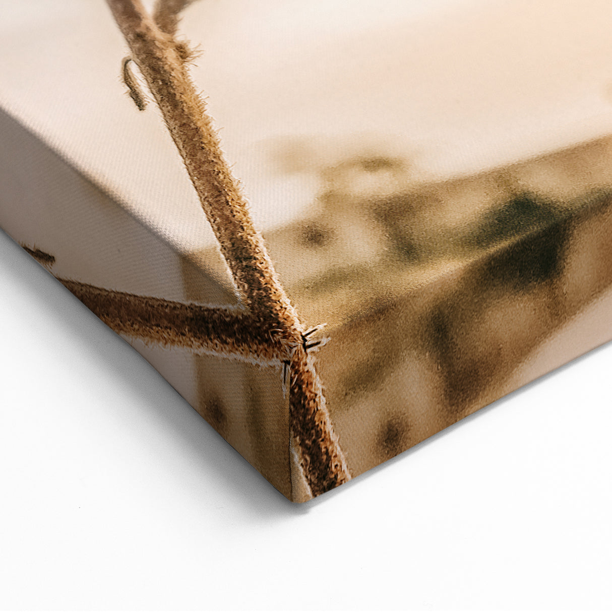 Butterfly Wall Art – Rustic Farmhouse Nature-Inspired Decor Print