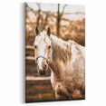 Vintage Farmhouse Wall Art - Majestic Horse in Rustic Country Scene