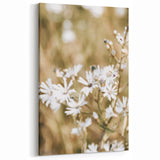 Farmhouse Wall Art - Soft White Daisies in Rustic Meadow Print