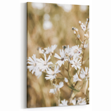 Farmhouse Wall Art - Soft White Daisies in Rustic Meadow Print