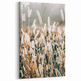 Farmhouse Wall Art - Rustic Wheat Field in Soft Focus Print