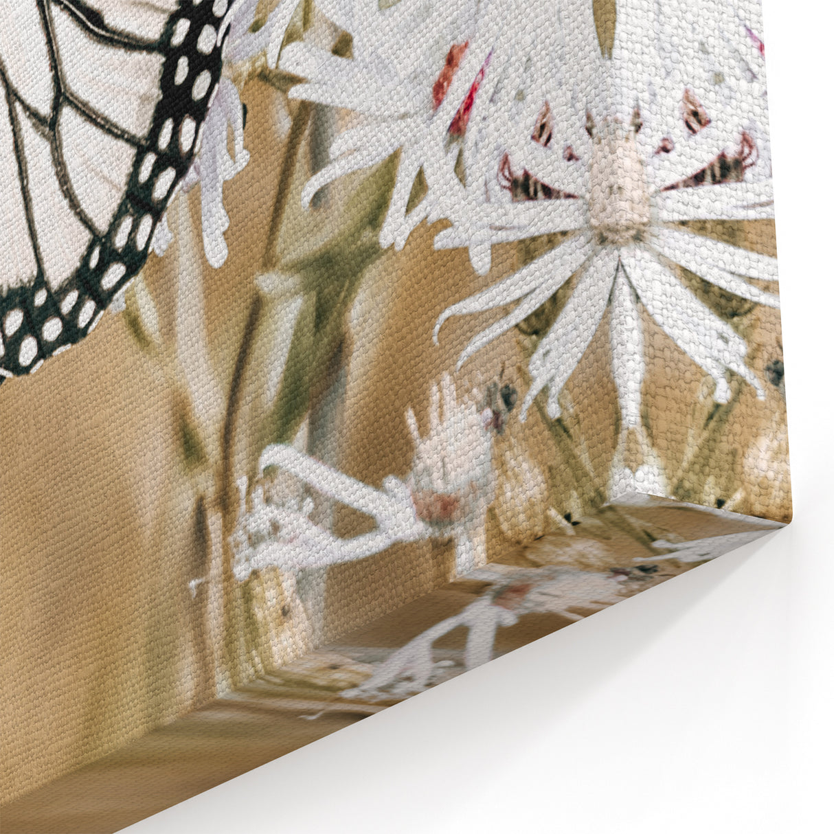 Farmhouse Wall Art - Butterfly on White Flowers in Rustic Meadow Print