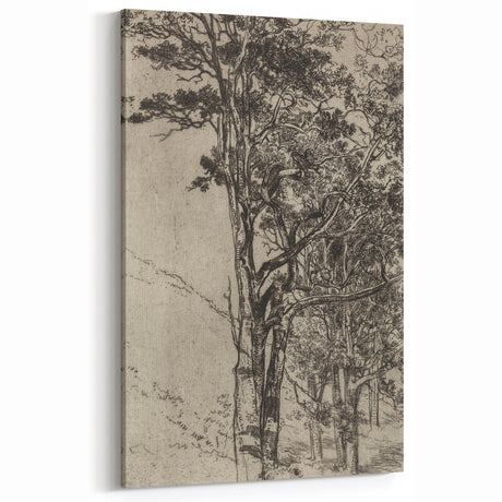 Forest Silhouette Etching - Mysterious Gothic Nature Wall Art Decor