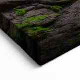 Austin Wall Art - Hamilton Pool Waterfall Austin Nature Landscape Art