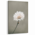 Farmhouse Wall Art - Delicate Dandelion in Soft Focus Minimalist Print