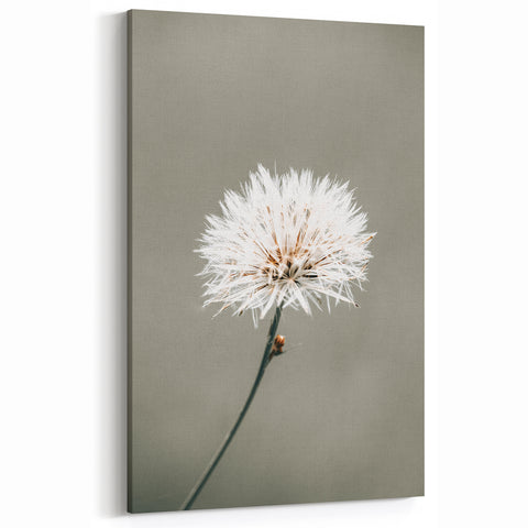 Farmhouse Wall Art - Delicate Dandelion in Soft Focus Minimalist Print